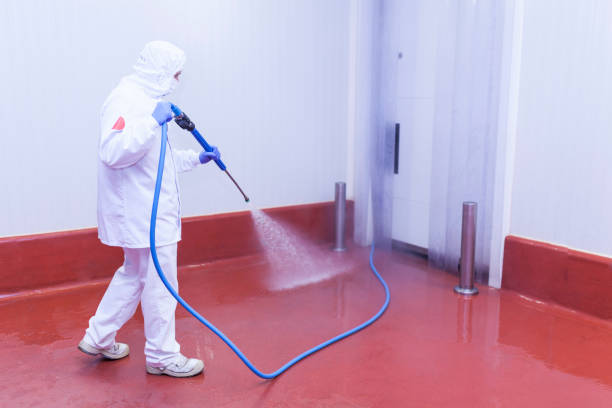 Best Soft Washing  in Reynoldsville, PA