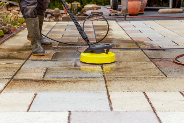 Best Solar Panel Cleaning  in Reynoldsville, PA